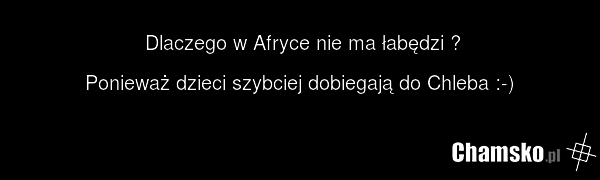 Dlaczego w Afryce nie ma łabędzi ? Ponieważ dzieci szybciej dobiegają do Chleba :-)