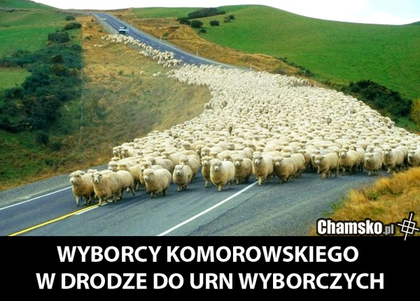 Wyborcy
