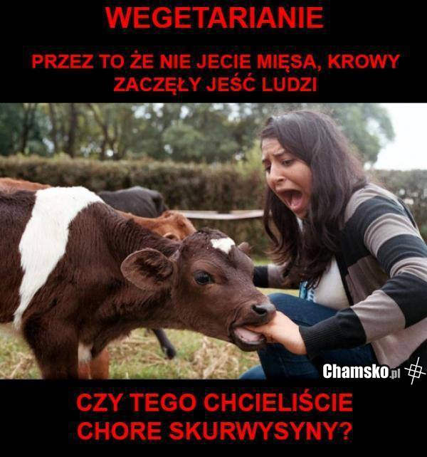 Wegetarianie