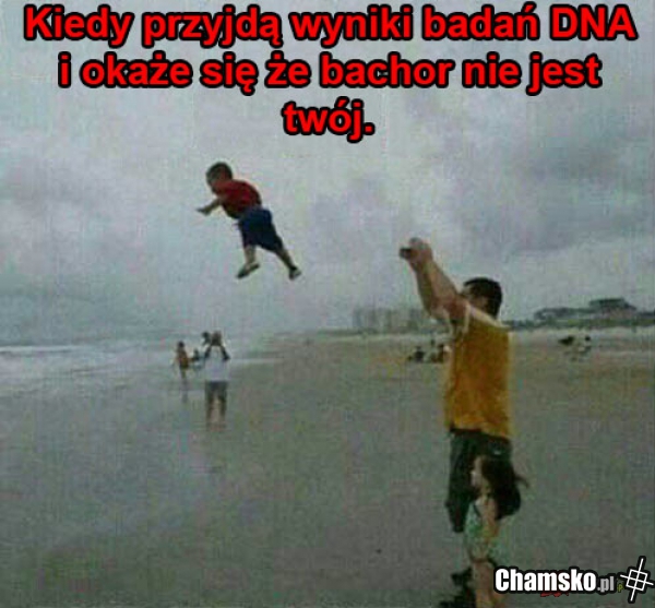 Test DNA