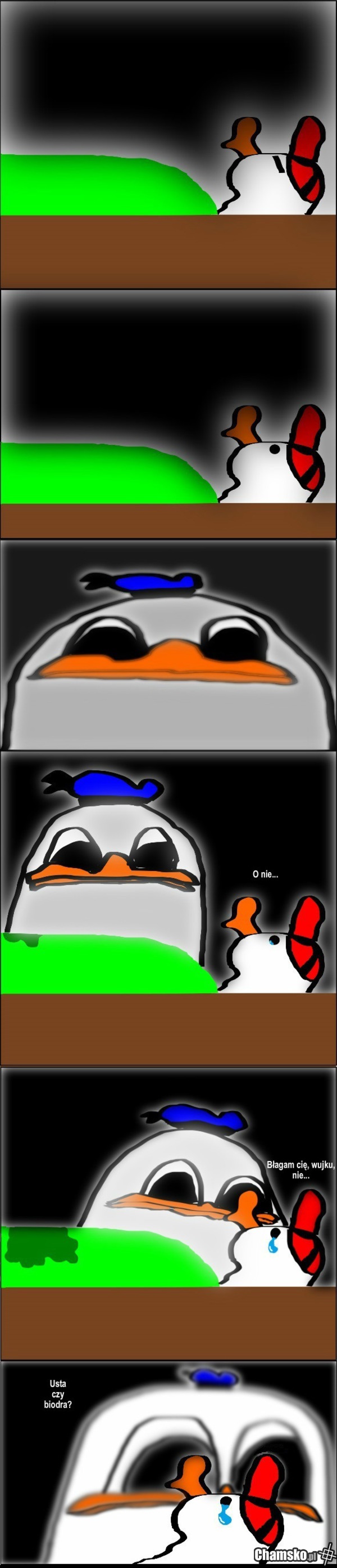 Noc