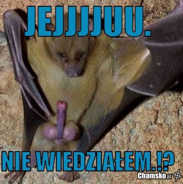 niewiedziałem
