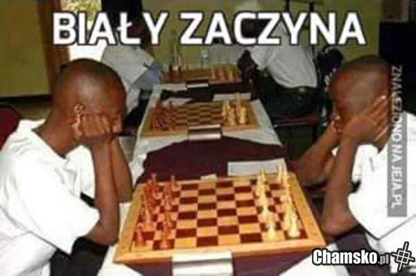 Szachy