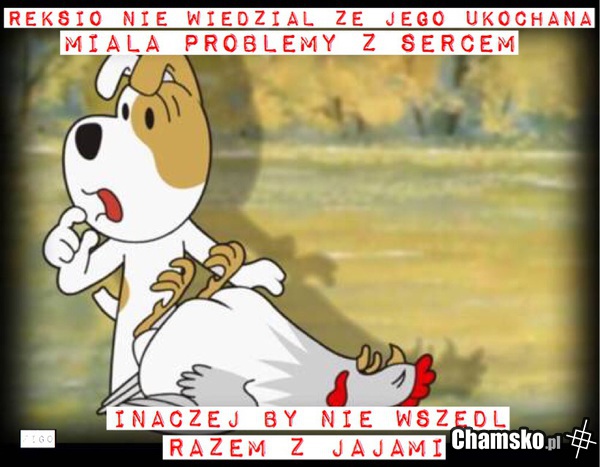 Przygody pieska Reksia