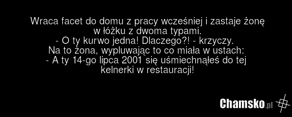 Wraca facet do domu z pracy wcześniej i zastaje żonę w łóżku z dwoma typami. - O ty kurwo jedna! Dlaczego?! - krzyczy. Na to żona, wypluwając to co miała w ustach: - A ty 14-go lipca 2001 się uśmiechnąłeś do tej kelnerki w restauracji!