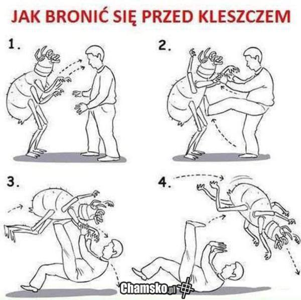 Mały poradnik na lato