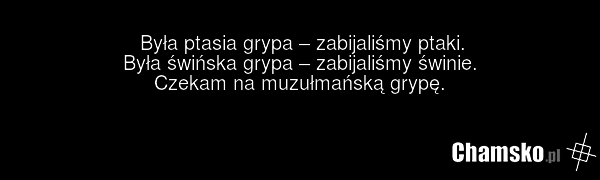 Była ptasia grypa – zabijaliśmy ptaki. Była świńska grypa – zabijaliśmy świnie. Czekam na muzułmańską grypę.