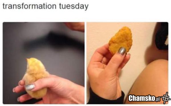 Transformacja
