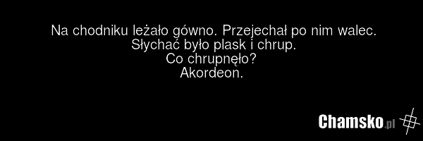 Na chodniku leżało gówno. Przejechał po nim walec. Słychać było plask i chrup. Co chrupnęło? Akordeon.