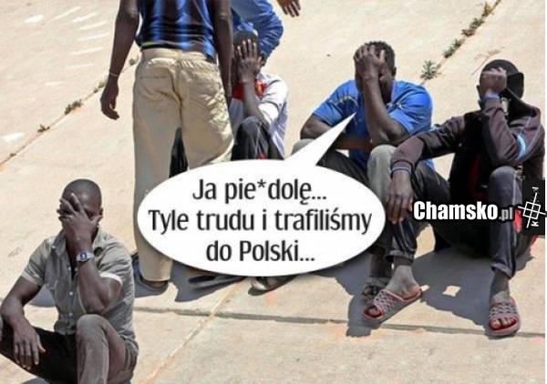 Tyle trudu