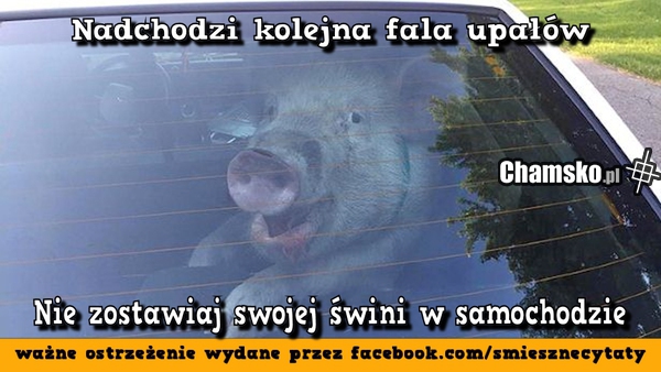 Ważne!