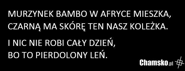 Bambo