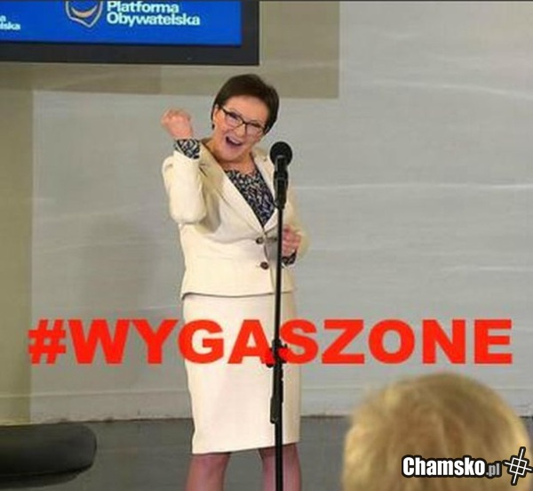 Stonoga i wygaszone