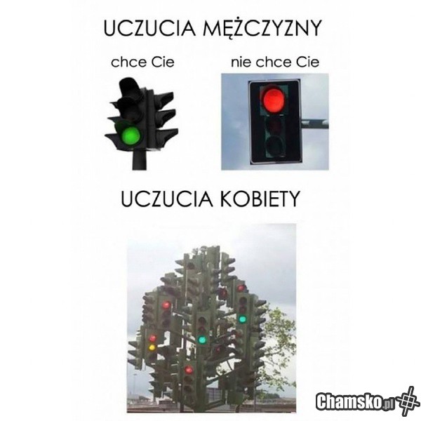 Uczucia