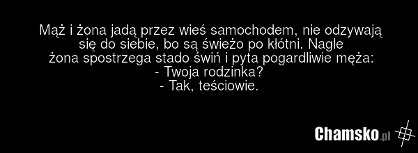 Mąż i żona jadą przez wieś samochodem, nie odzywają się do siebie, bo są świeżo po kłótni. Nagle żona spostrzega stado świń i pyta pogardliwie męża: - Twoja rodzinka? - Tak, teściowie.