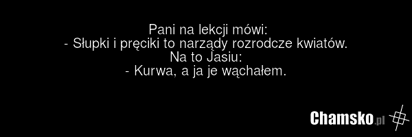 Pani na lekcji mówi: - Słupki i pręciki to narządy rozrodcze kwiatów. Na to Jasiu: - Kurwa, a ja je wąchałem.