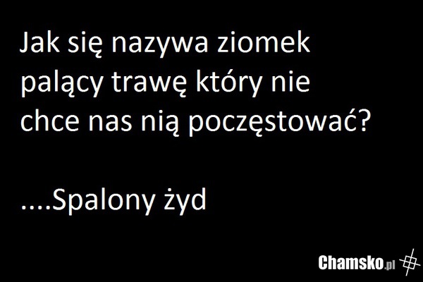 Zagadka :)