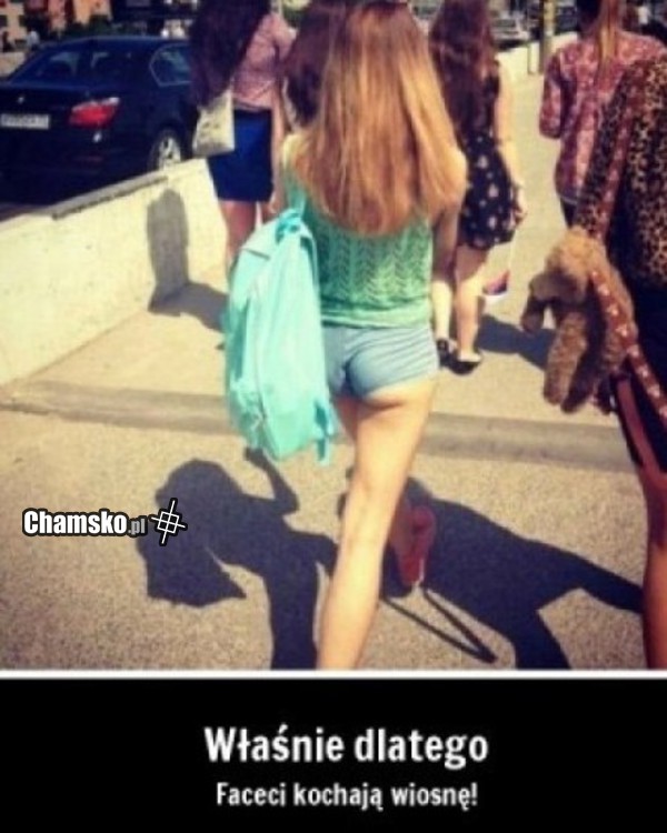 kto nie lubi wiosny