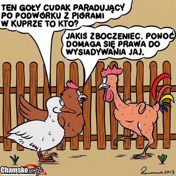 Nowe prawo o związkach homosexualnych