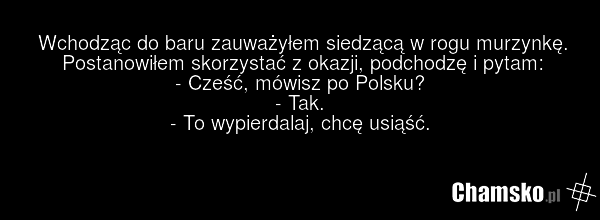 Wchodząc do baru zauważyłem siedzącą w rogu murzynkę. Postanowiłem skorzystać z okazji, podchodzę i pytam: - Cześć, mówisz po Polsku? - Tak. - To wypierdalaj, chcę usiąść.