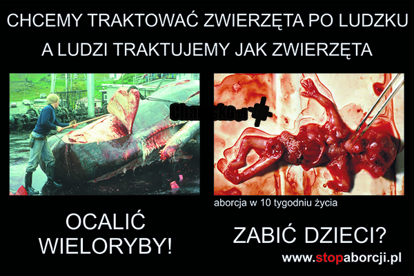 Aborcja