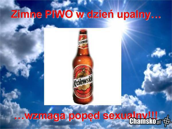 zimne piwo