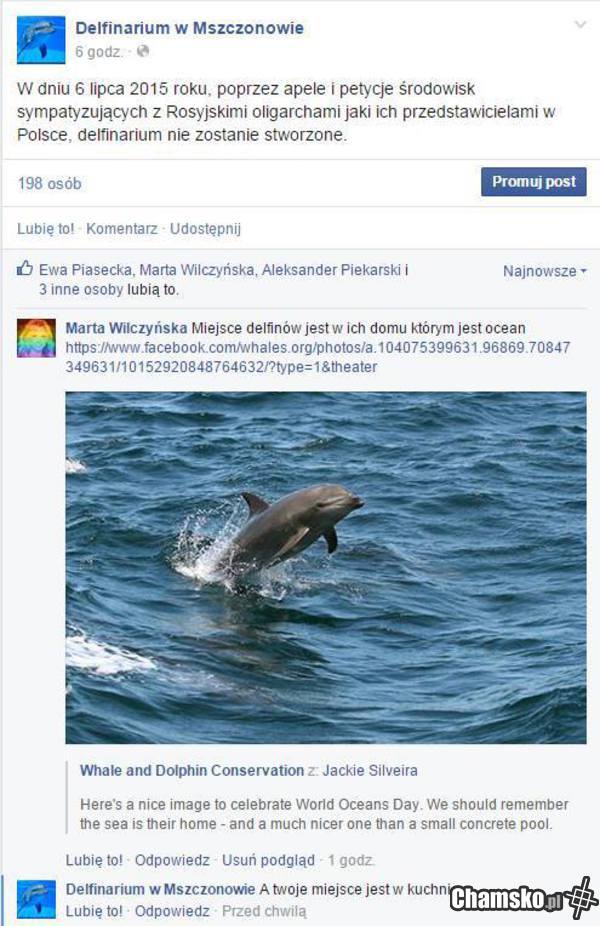W delfinarium znają się na rzeczy