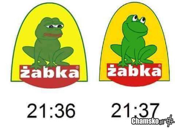 Papieżakowa żaba