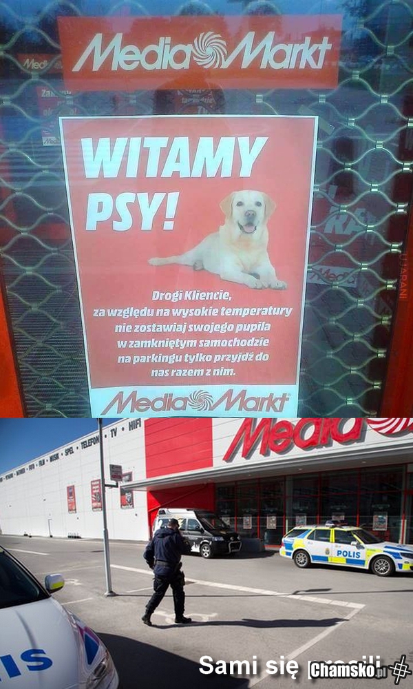 Witamy psy