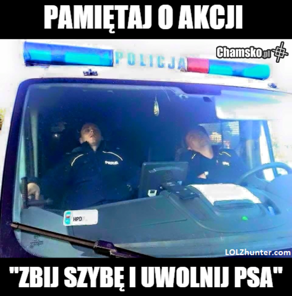 Pamiętajcie w takiej sytuacji wydupcyć im szybę!