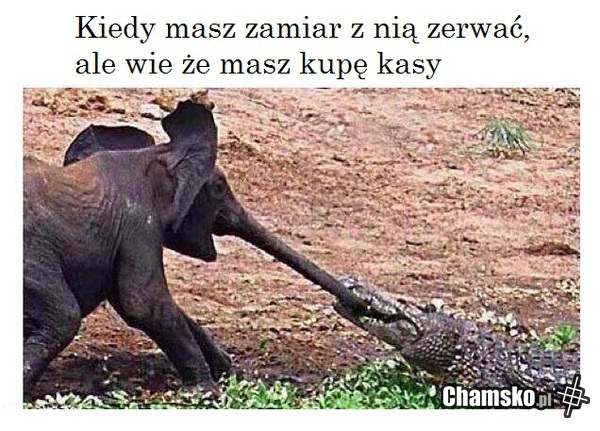 Kobiety