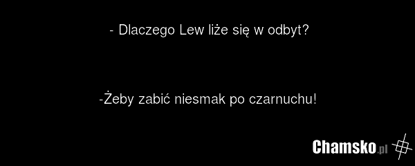 - Dlaczego Lew liże się w odbyt? -Żeby zabić niesmak po czarnuchu!