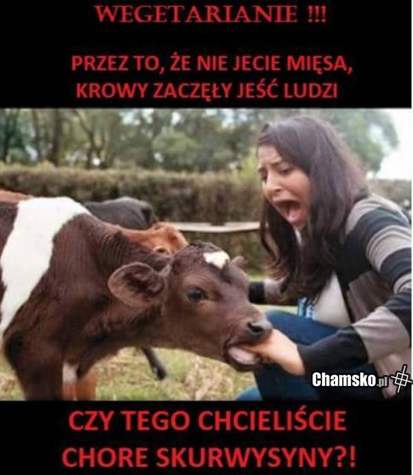 Wegetarianie!