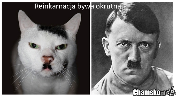 Reinkarnacja kara