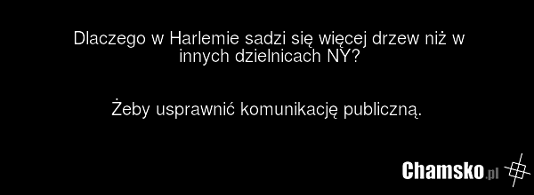 Dlaczego w Harlemie sadzi się więcej drzew niż w innych dzielnicach NY? Żeby usprawnić komunikację publiczną.