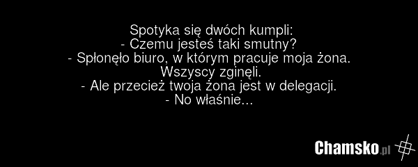 Spotyka się dwóch kumpli: - Czemu jesteś taki smutny? - Spłonęło biuro, w którym pracuje moja żona. Wszyscy zginęli. - Ale przecież twoja żona jest w delegacji. - No właśnie...