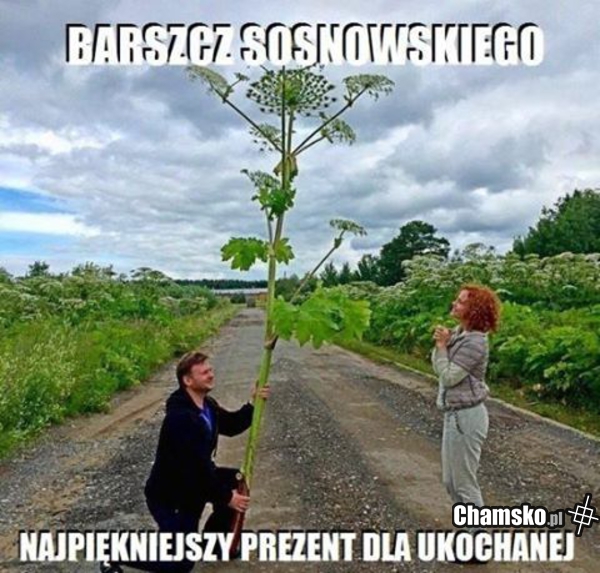 Barszcz dla ukochanej