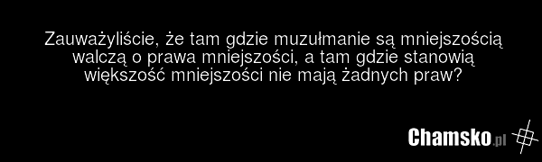 Zauważyliście, że tam gdzie muzułmanie są mniejszością walczą o prawa mniejszości, a tam gdzie stanowią większość mniejszości nie mają żadnych praw?