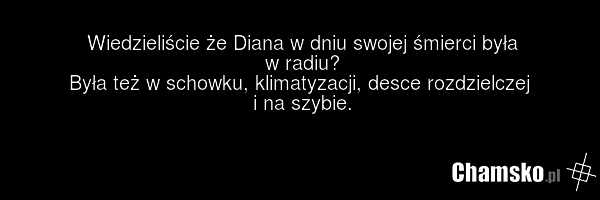 Wiedzieliście że Diana w dniu swojej śmierci była w radiu? Była też w schowku, klimatyzacji, desce rozdzielczej i na szybie.