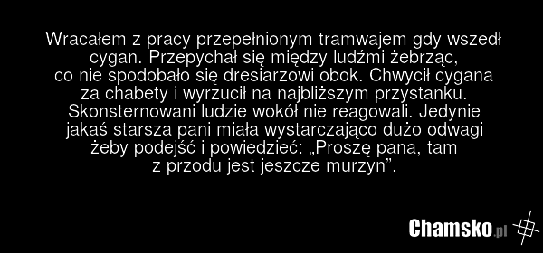 Wracałem z pracy przepełnionym tramwajem gdy wszedł cygan. Przepychał się między ludźmi żebrząc, co nie spodobało się dresiarzowi obok. Chwycił cygana za chabety i wyrzucił na najbliższym przystanku. Skonsternowani ludzie wokół nie reagowali. Jedynie jakaś starsza pani miała wystarczająco dużo odwa…