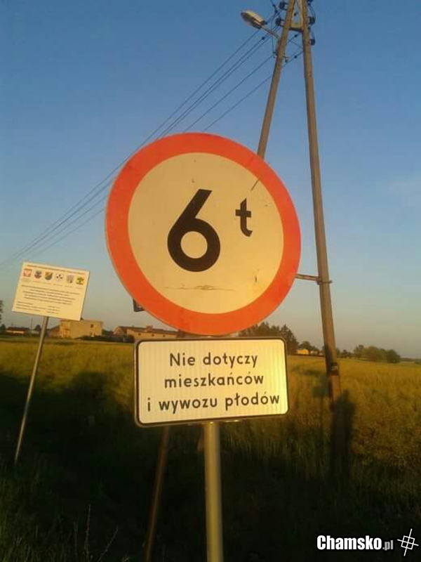 Wywóz martwych płodów?