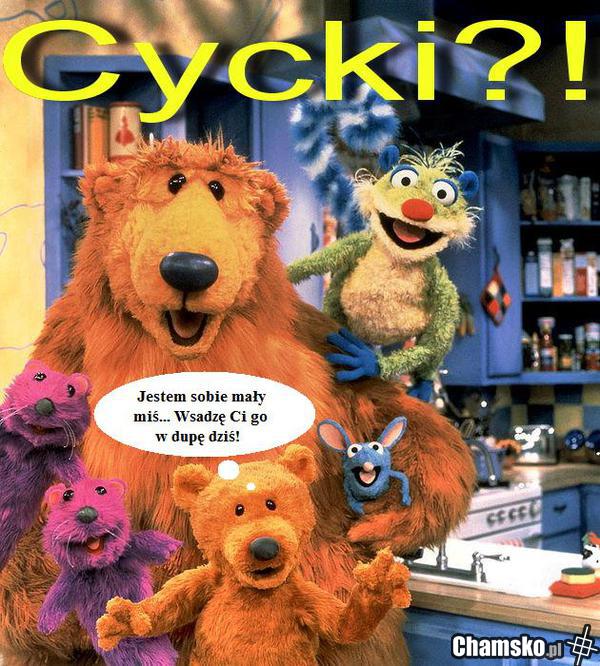 Mały miś :)