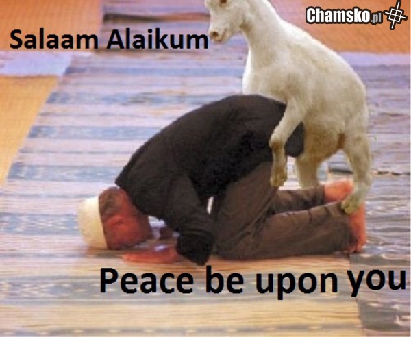 Salaam Alaikum
