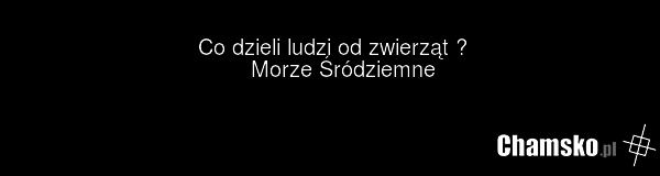 Co dzieli ludzi od zwierząt ? Morze Śródziemne