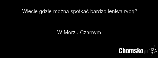 Wiecie gdzie można spotkać bardzo leniwą rybę? W Morzu Czarnym