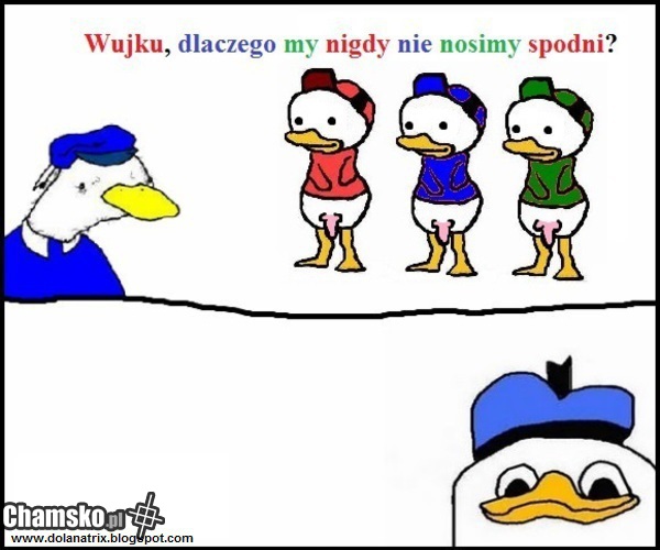 Spodnie
