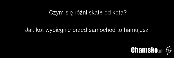 Czym się różni skate od kota? Jak kot wybiegnie przed samochód to hamujesz