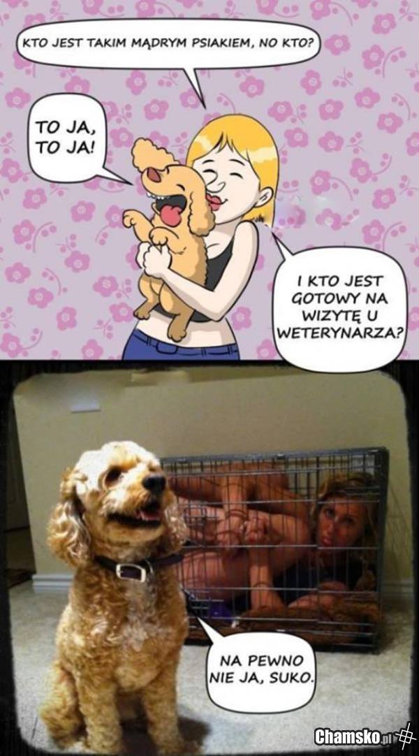 Wizyta u weterynarza