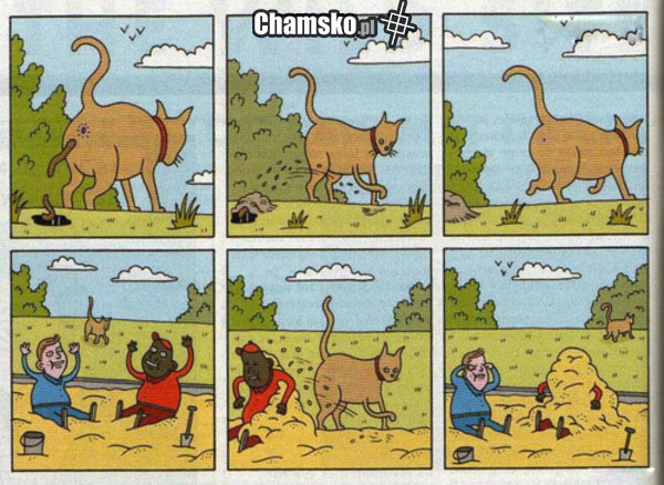 Kuweta