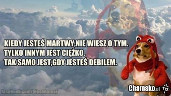 Debil ;)